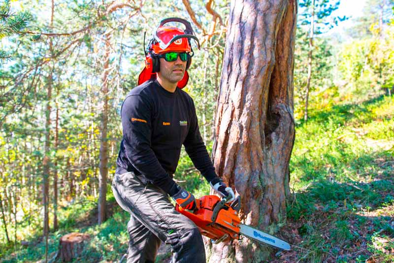 hemkomstkontroll app